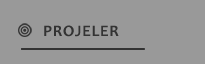 PROJELER
